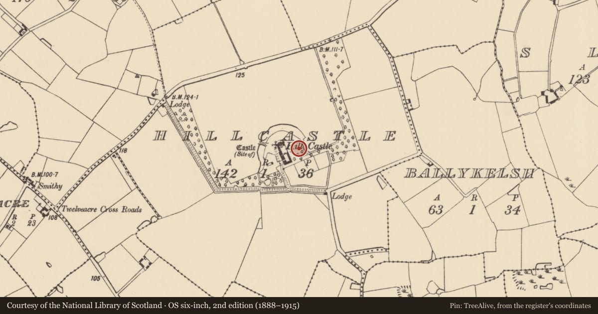 Ordnance Survey six-inch map, 2nd edition (1888–1915) covering the location of Mound, Hillcastle, County Wexford, with a pin at the register's coordinates
