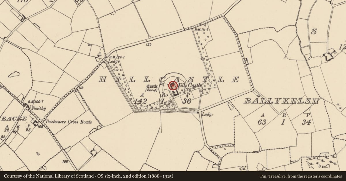 Ordnance Survey six-inch map, 2nd edition (1888–1915) covering the location of Signal tower, Hillcastle, County Wexford, with a pin at the register's coordinates