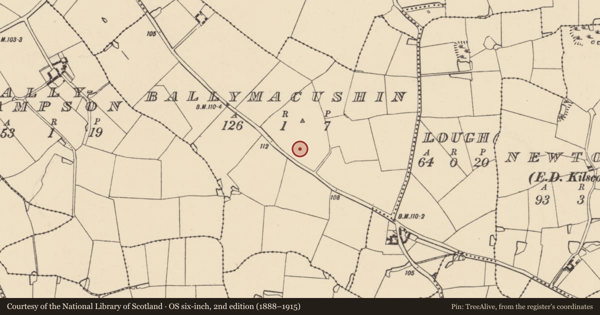 Ordnance Survey six-inch map, 2nd edition (1888–1915) covering the location of Field system, Ballymacushin, County Wexford, with a pin at the register's coordinates