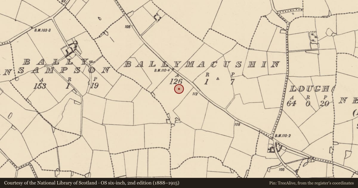Ordnance Survey six-inch map, 2nd edition (1888–1915) covering the location of Ringfort - rath, Ballymacushin, County Wexford, with a pin at the register's coordinates