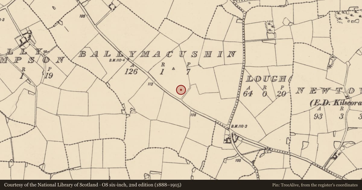 Ordnance Survey six-inch map, 2nd edition (1888–1915) covering the location of Ringfort - rath, Ballymacushin, County Wexford, with a pin at the register's coordinates