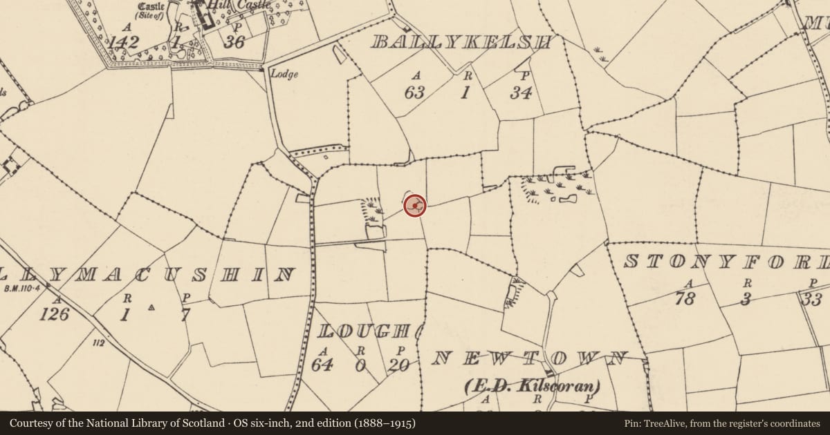 Ordnance Survey six-inch map, 2nd edition (1888–1915) covering the location of Ringfort - rath, Lough, County Wexford, with a pin at the register's coordinates
