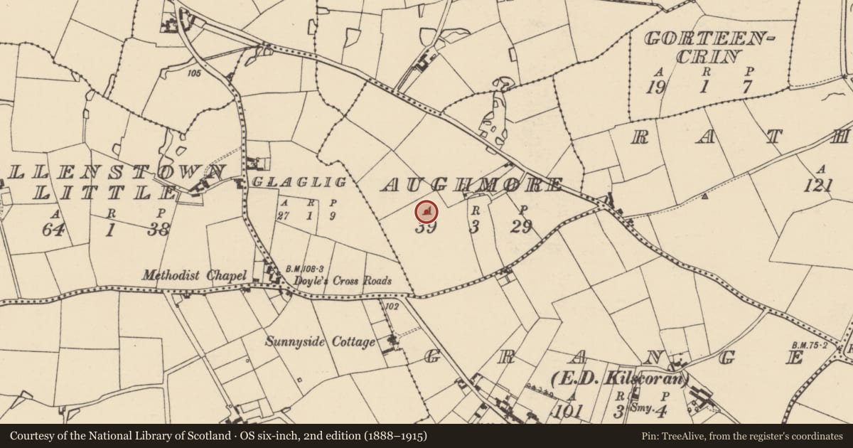 Ordnance Survey six-inch map, 2nd edition (1888–1915) covering the location of Field system, Aughmore, County Wexford, with a pin at the register's coordinates