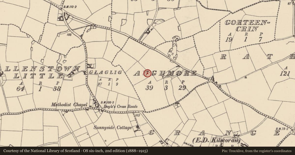 Ordnance Survey six-inch map, 2nd edition (1888–1915) covering the location of Enclosure, Aughmore, County Wexford, with a pin at the register's coordinates