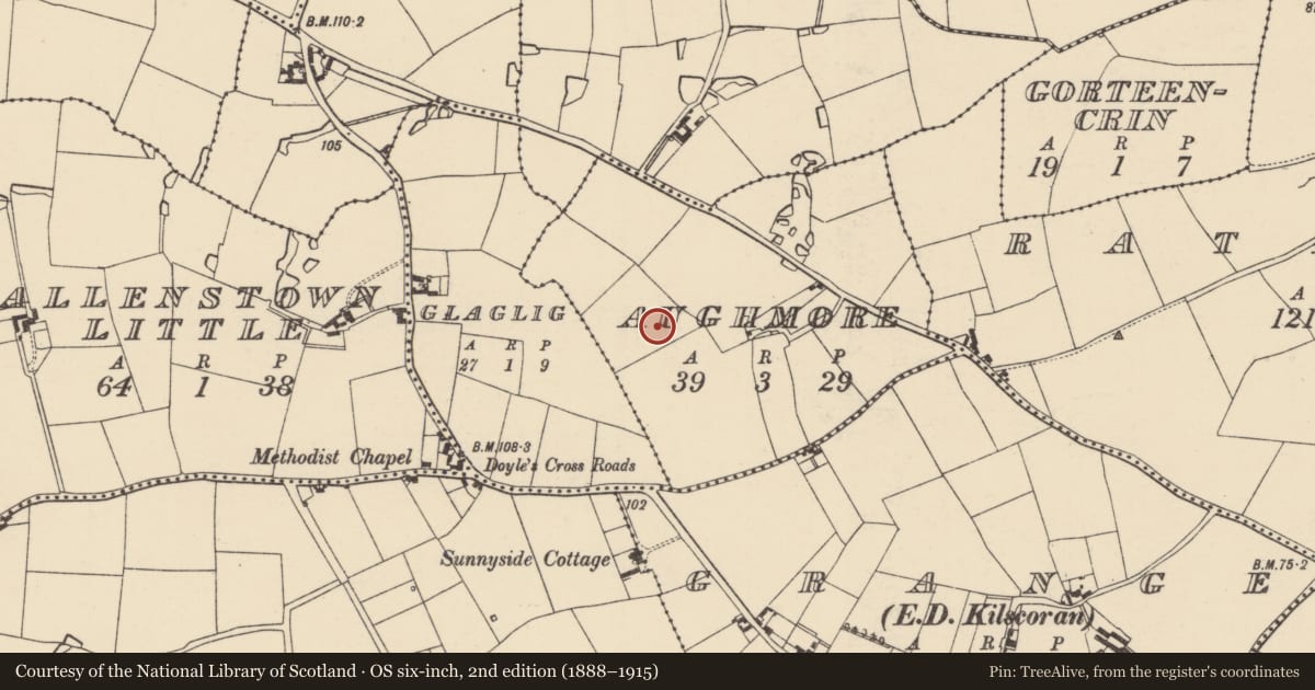Ordnance Survey six-inch map, 2nd edition (1888–1915) covering the location of Enclosure, Aughmore, County Wexford, with a pin at the register's coordinates