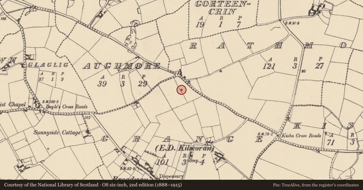 Ordnance Survey six-inch map, 2nd edition (1888–1915) covering the location of Ringfort - rath, Grange, County Wexford, with a pin at the register's coordinates