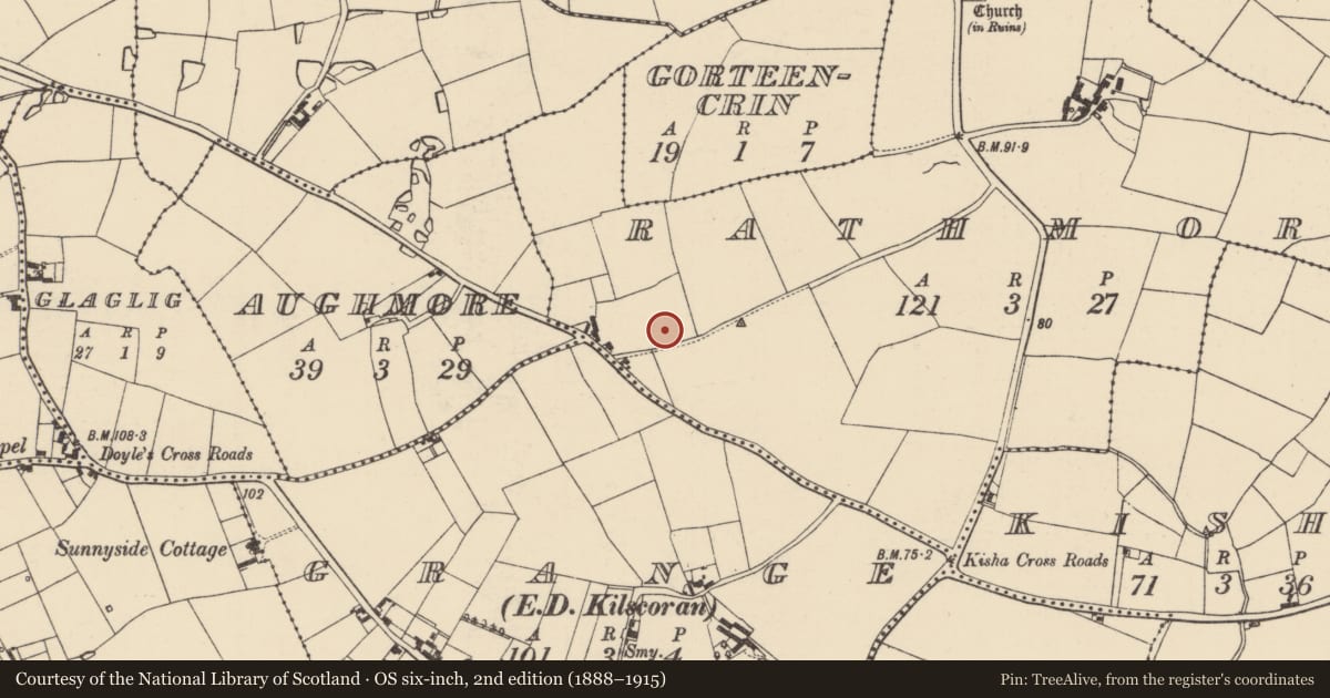 Ordnance Survey six-inch map, 2nd edition (1888–1915) covering the location of Ringfort - rath, Rathmore, County Wexford, with a pin at the register's coordinates