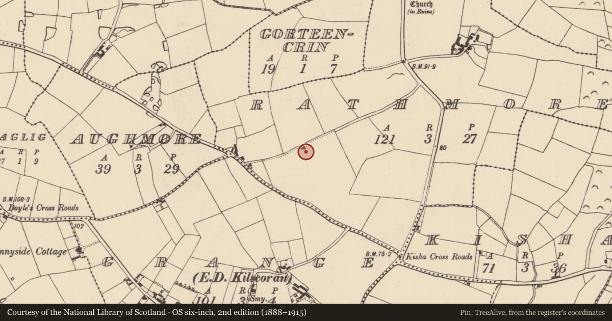 Ordnance Survey six-inch map, 2nd edition (1888–1915) covering the location of Ringfort - rath, Rathmore, County Wexford, with a pin at the register's coordinates