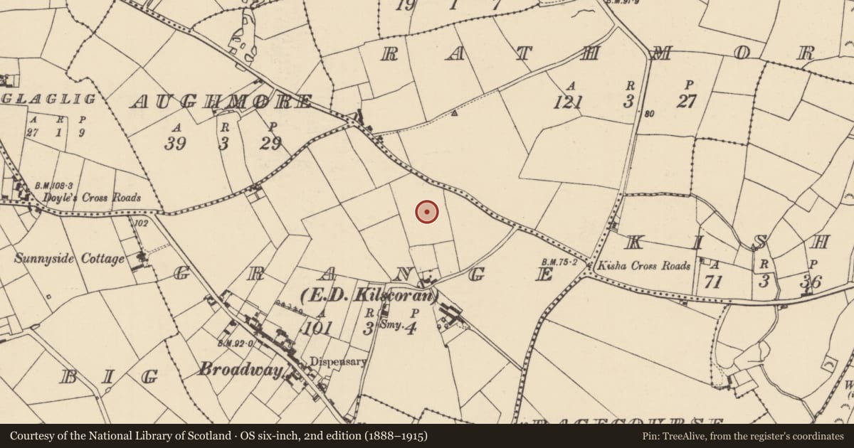 Ordnance Survey six-inch map, 2nd edition (1888–1915) covering the location of Ringfort - rath, Grange, County Wexford, with a pin at the register's coordinates