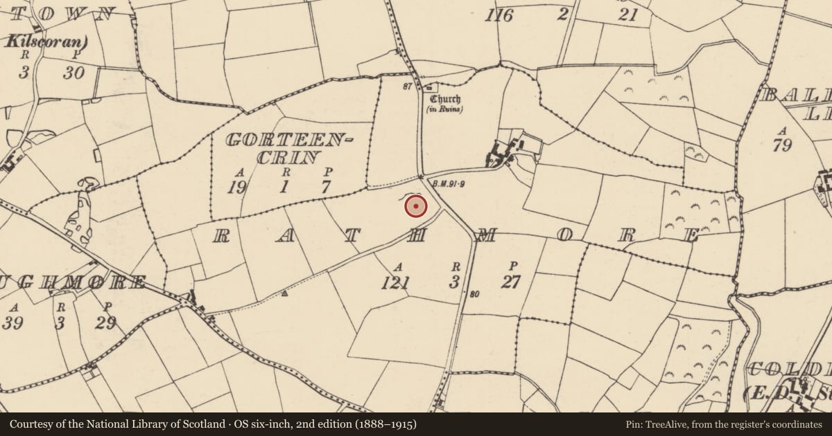 Ordnance Survey six-inch map, 2nd edition (1888–1915) covering the location of Ringfort - rath, Rathmore, County Wexford, with a pin at the register's coordinates