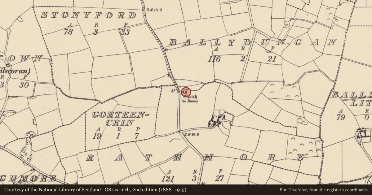 Ordnance Survey six-inch map, 2nd edition (1888–1915) covering the location of Churchyard, Rathmore, Ballydungan, County Wexford, with a pin at the register's coordinates