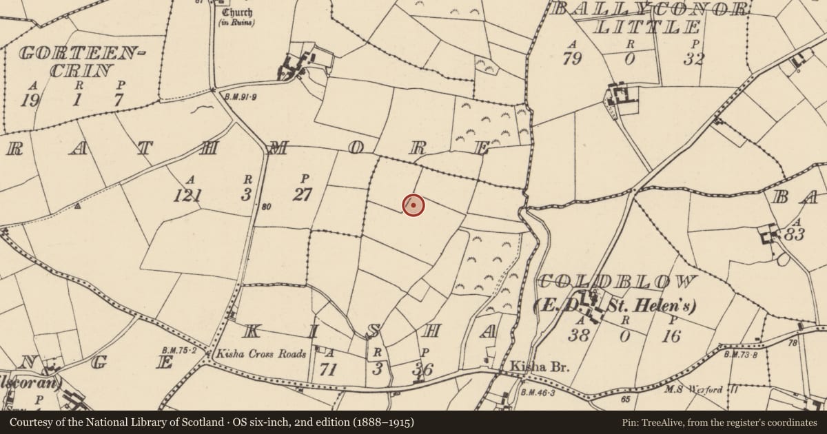 Ordnance Survey six-inch map, 2nd edition (1888–1915) covering the location of Ringfort - rath, Kisha, County Wexford, with a pin at the register's coordinates