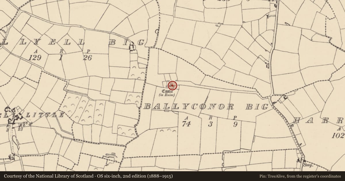 Ordnance Survey six-inch map, 2nd edition (1888–1915) covering the location of Castle - tower house, Ballyconor Big, County Wexford, with a pin at the register's coordinates