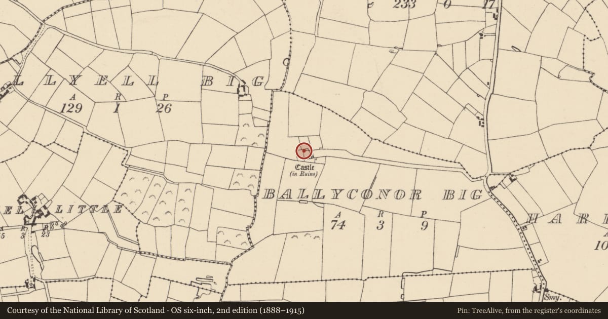 Ordnance Survey six-inch map, 2nd edition (1888–1915) covering the location of Chapel, Ballyconor Big, County Wexford, with a pin at the register's coordinates