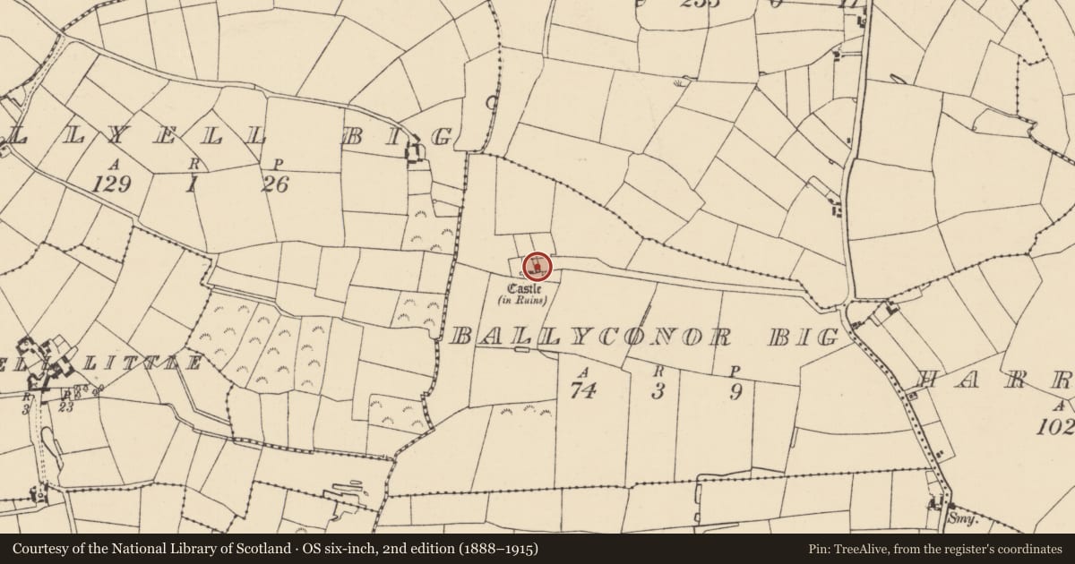 Ordnance Survey six-inch map, 2nd edition (1888–1915) covering the location of Memorial stone, Ballyconor Big, County Wexford, with a pin at the register's coordinates