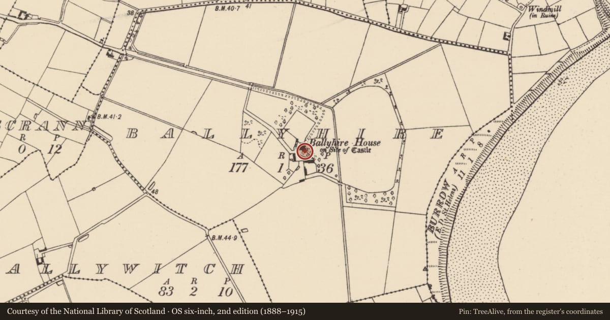Ordnance Survey six-inch map, 2nd edition (1888–1915) covering the location of Castle - tower house, Ballyhire, County Wexford, with a pin at the register's coordinates
