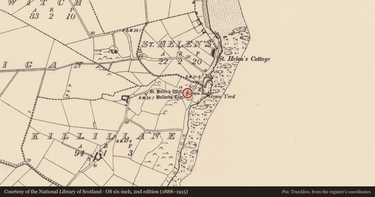 Ordnance Survey six-inch map, 2nd edition (1888–1915) covering the location of Ritual site - holy/saint's stone, Killillane, County Wexford, with a pin at the register's coordinates