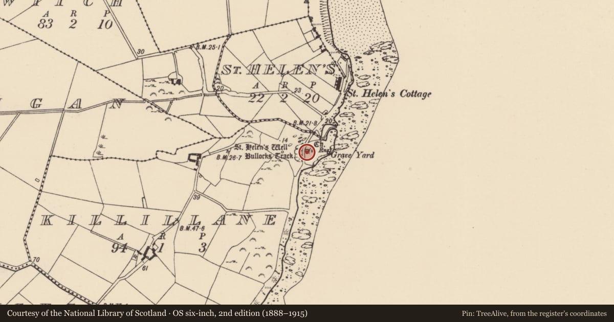 Ordnance Survey six-inch map, 2nd edition (1888–1915) covering the location of Church, Killillane, County Wexford, with a pin at the register's coordinates