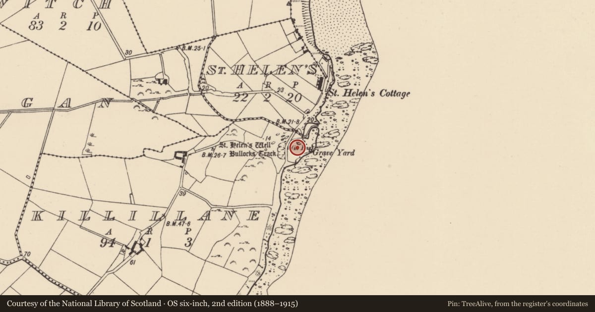 Ordnance Survey six-inch map, 2nd edition (1888–1915) covering the location of Graveyard, Killillane, County Wexford, with a pin at the register's coordinates