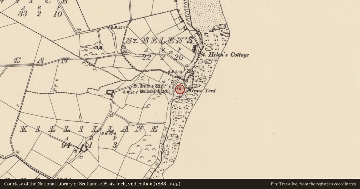 Ordnance Survey six-inch map, 2nd edition (1888–1915) covering the location of Cross-inscribed stone, Killillane, County Wexford, with a pin at the register's coordinates