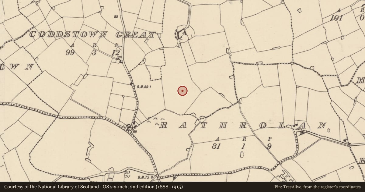 Ordnance Survey six-inch map, 2nd edition (1888–1915) covering the location of Ringfort - rath, Coddstown Little, County Wexford, with a pin at the register's coordinates
