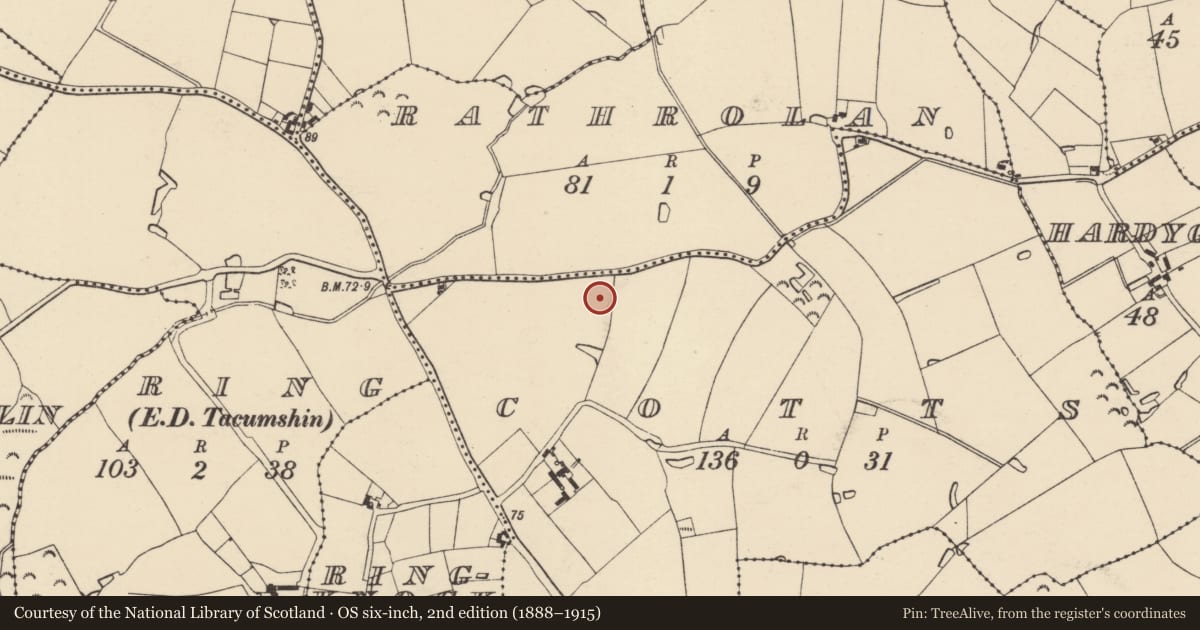 Ordnance Survey six-inch map, 2nd edition (1888–1915) covering the location of Standing stone - pair, Cotts, County Wexford, with a pin at the register's coordinates