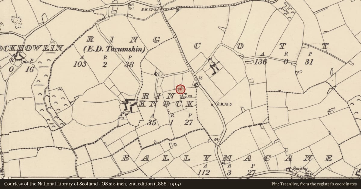 Ordnance Survey six-inch map, 2nd edition (1888–1915) covering the location of Field system, Ringknock, County Wexford, with a pin at the register's coordinates