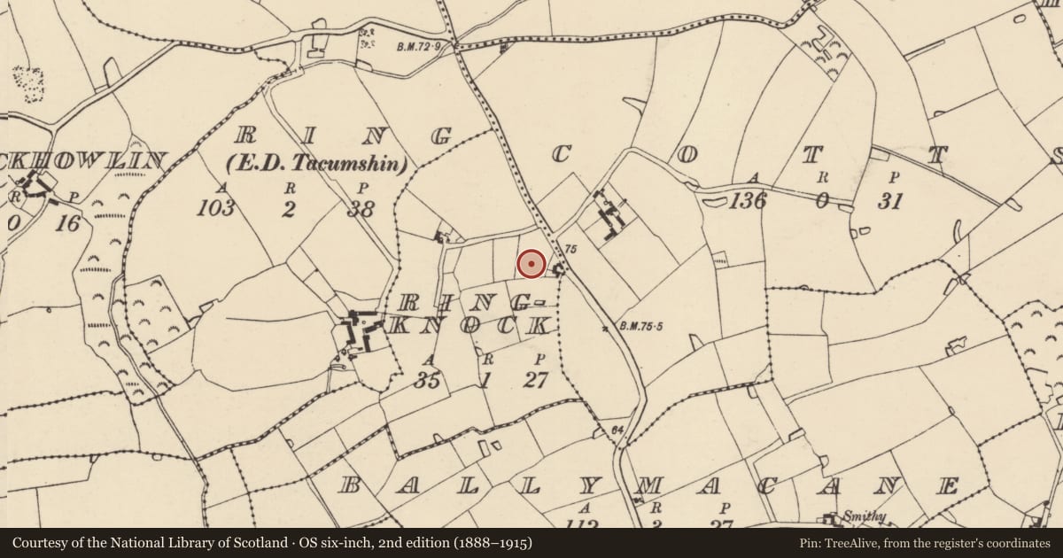 Ordnance Survey six-inch map, 2nd edition (1888–1915) covering the location of Enclosure, Ringknock, County Wexford, with a pin at the register's coordinates