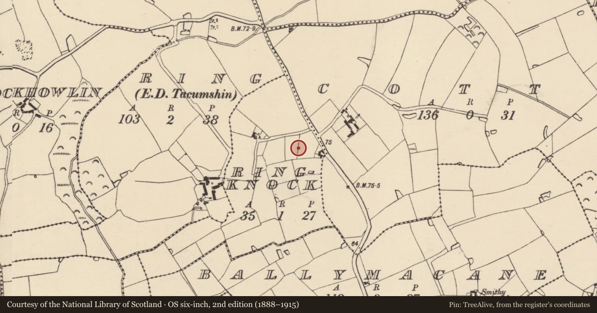 Ordnance Survey six-inch map, 2nd edition (1888–1915) covering the location of Ring-ditch, Ringknock, County Wexford, with a pin at the register's coordinates