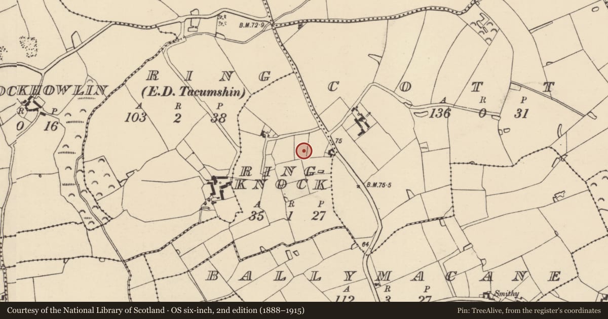 Ordnance Survey six-inch map, 2nd edition (1888–1915) covering the location of Enclosure, Ringknock, County Wexford, with a pin at the register's coordinates