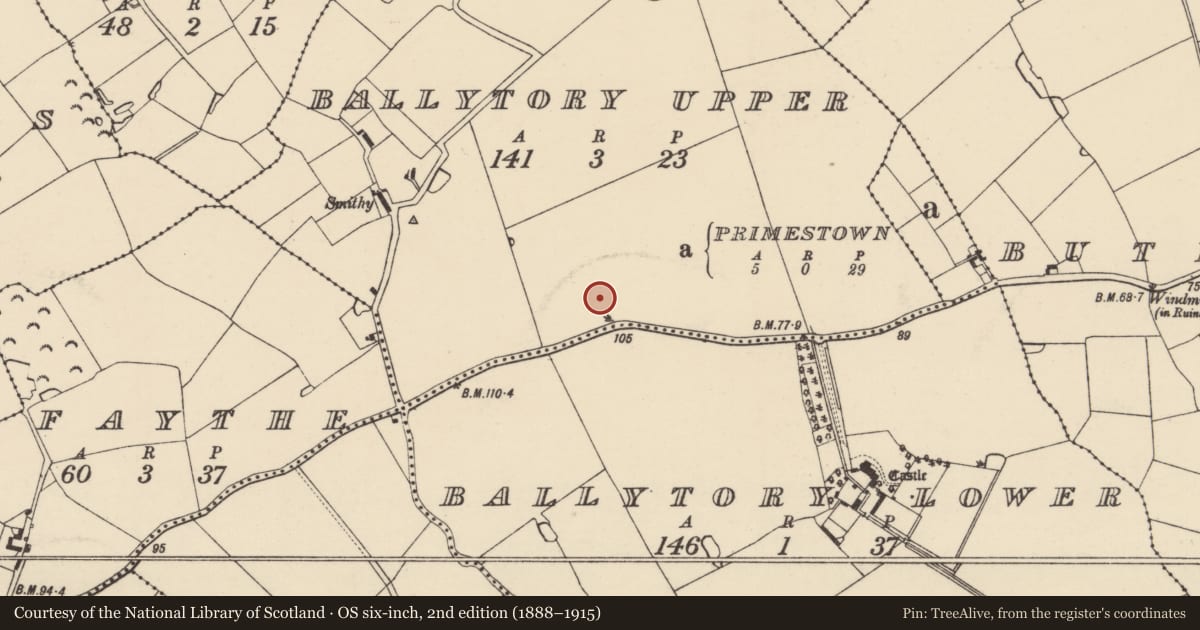 Ordnance Survey six-inch map, 2nd edition (1888–1915) covering the location of Ring-ditch, Ballytory Upper, County Wexford, with a pin at the register's coordinates