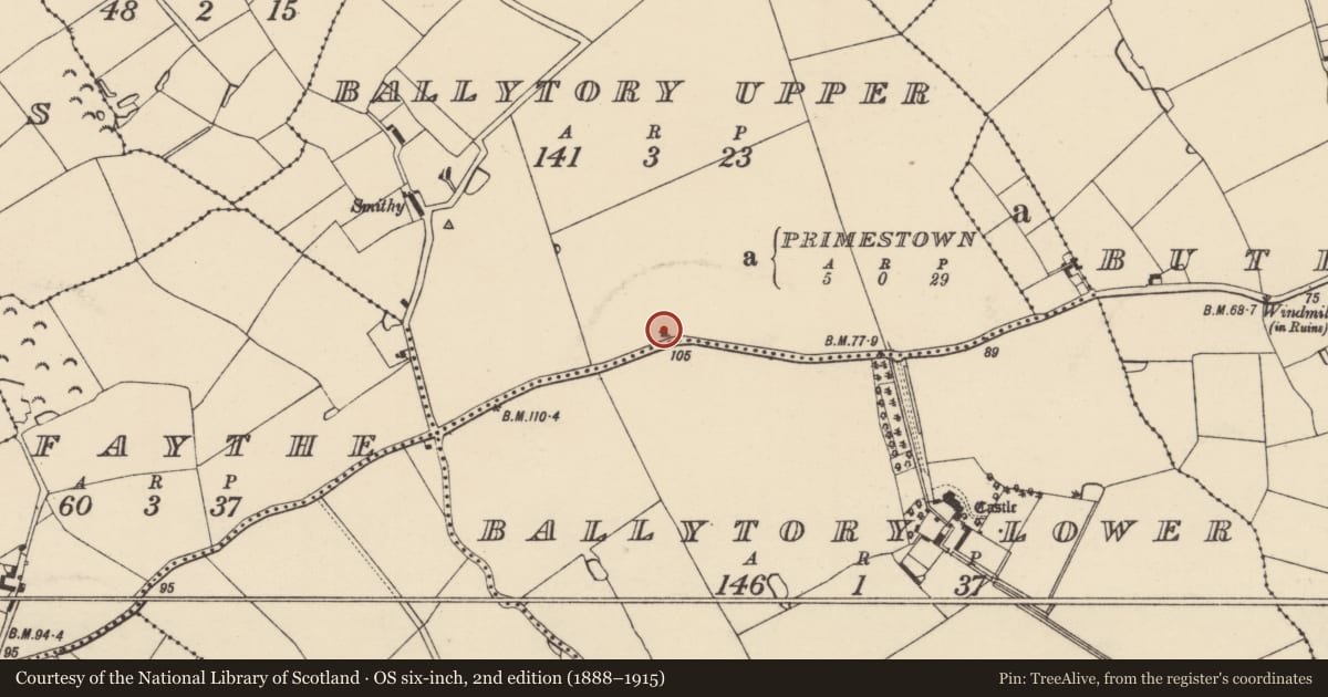 Ordnance Survey six-inch map, 2nd edition (1888–1915) covering the location of Enclosure, Ballytory Upper, County Wexford, with a pin at the register's coordinates