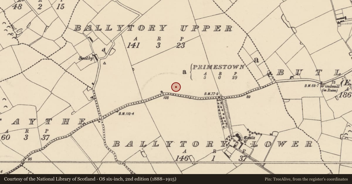 Ordnance Survey six-inch map, 2nd edition (1888–1915) covering the location of Enclosure, Ballytory Upper, County Wexford, with a pin at the register's coordinates