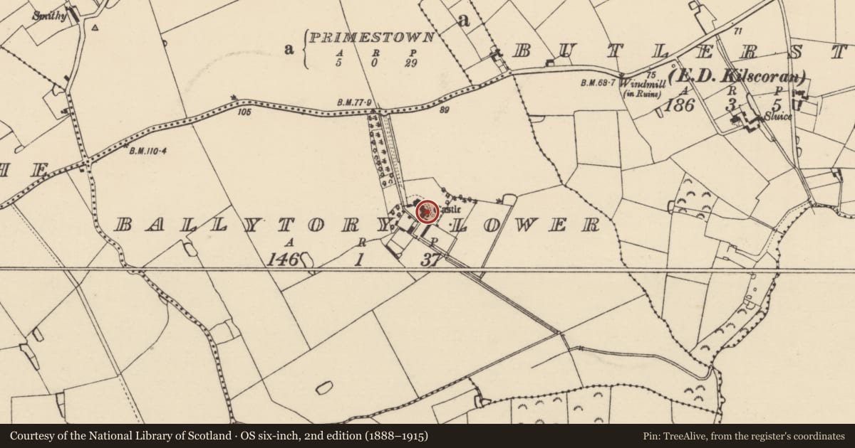 Ordnance Survey six-inch map, 2nd edition (1888–1915) covering the location of Castle - tower house, Ballytory Lower, County Wexford, with a pin at the register's coordinates