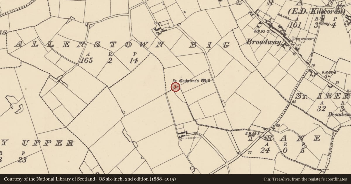 Ordnance Survey six-inch map, 2nd edition (1888–1915) covering the location of Ritual site - holy well, Allenstown Big, County Wexford, with a pin at the register's coordinates