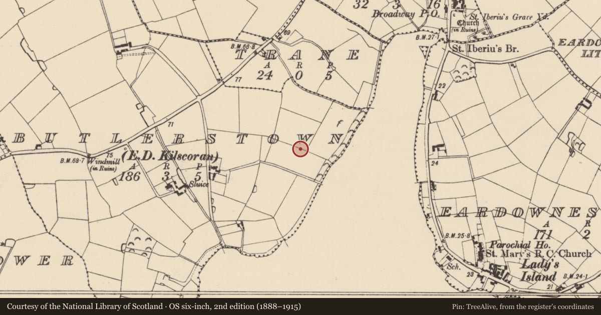 Ordnance Survey six-inch map, 2nd edition (1888–1915) covering the location of Ringfort - rath, Butlerstown, County Wexford, with a pin at the register's coordinates