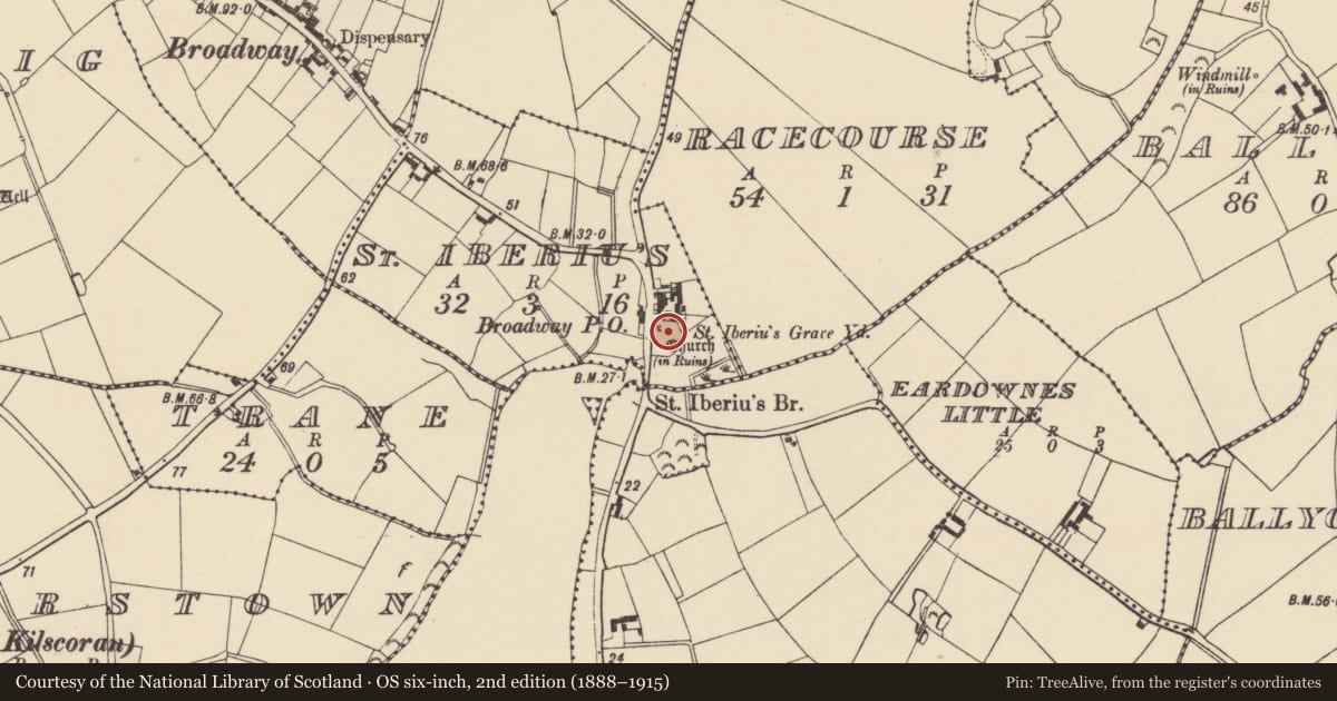 Ordnance Survey six-inch map, 2nd edition (1888–1915) covering the location of Church, St. Iberius, County Wexford, with a pin at the register's coordinates