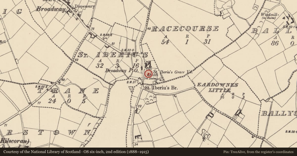 Ordnance Survey six-inch map, 2nd edition (1888–1915) covering the location of Graveyard, St. Iberius, County Wexford, with a pin at the register's coordinates