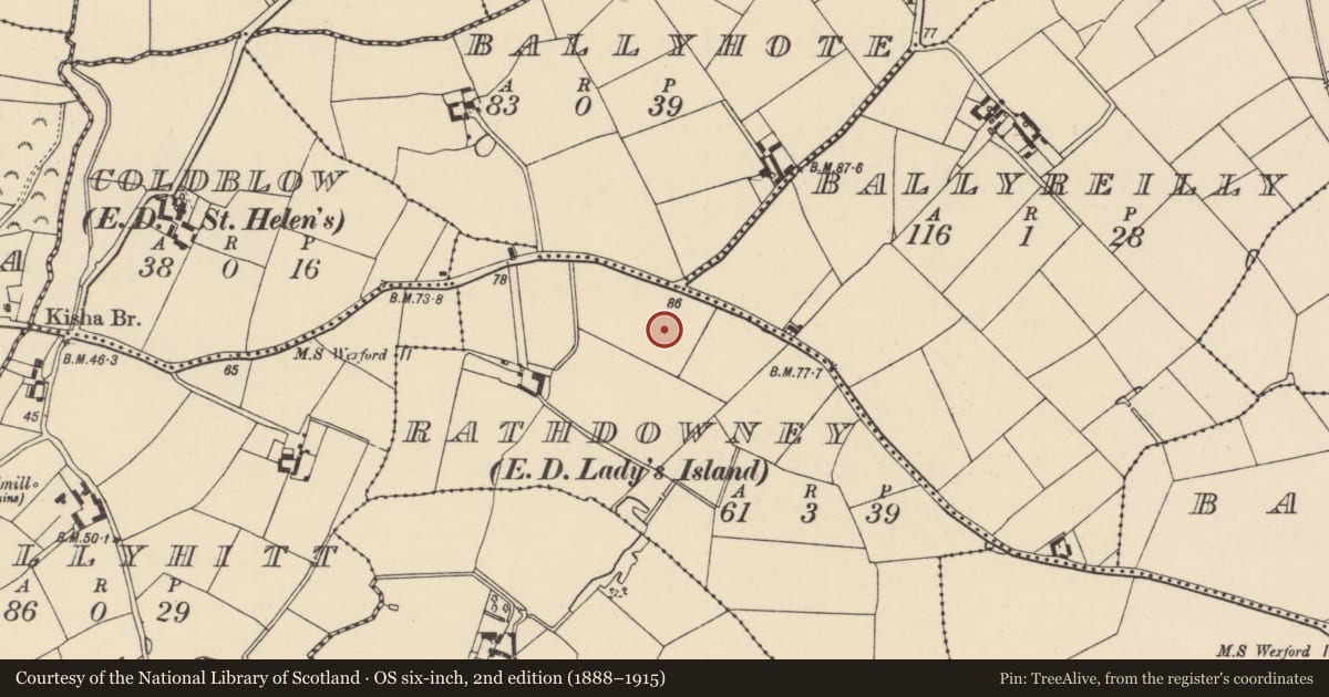 Ordnance Survey six-inch map, 2nd edition (1888–1915) covering the location of Ringfort - rath, Rathdowney, County Wexford, with a pin at the register's coordinates