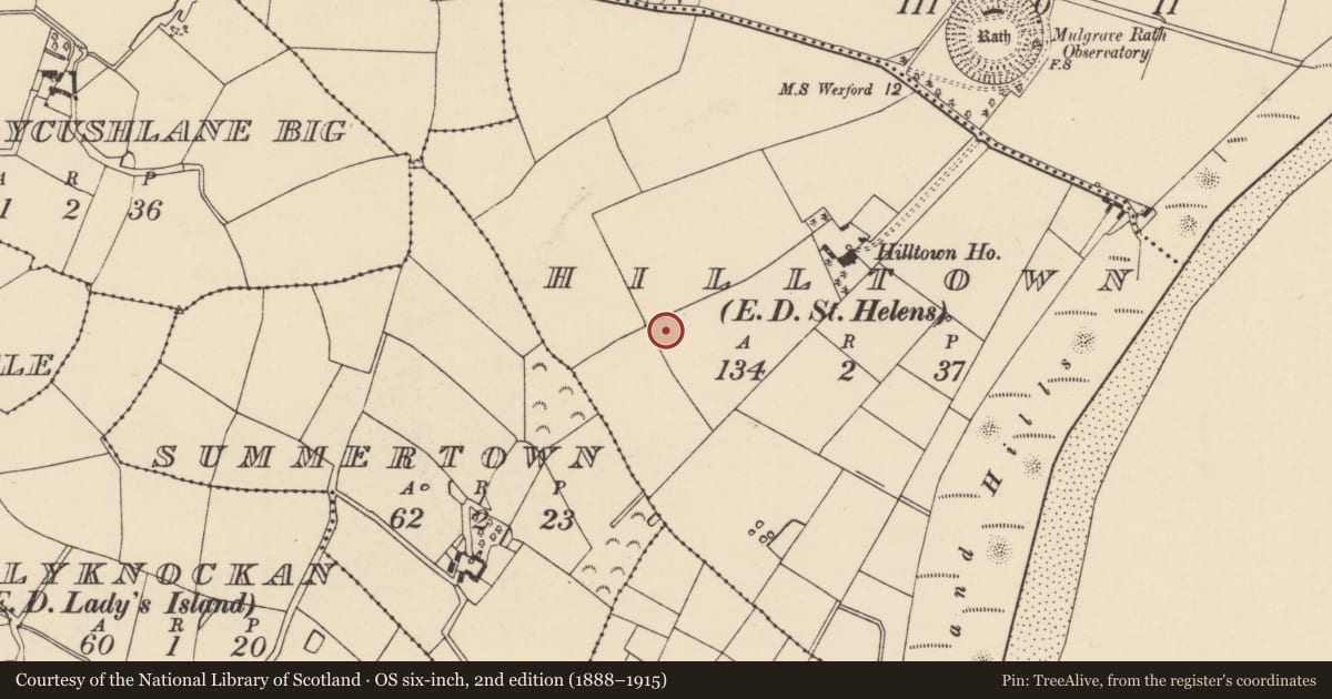 Ordnance Survey six-inch map, 2nd edition (1888–1915) covering the location of Ringfort - rath, Hilltown, County Wexford, with a pin at the register's coordinates