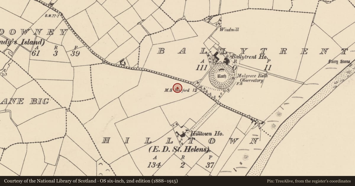 Ordnance Survey six-inch map, 2nd edition (1888–1915) covering the location of Standing stone, Hilltown, County Wexford, with a pin at the register's coordinates