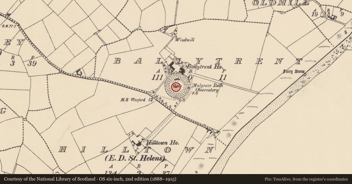 Ordnance Survey six-inch map, 2nd edition (1888–1915) covering the location of Souterrain, Ballytrent, County Wexford, with a pin at the register's coordinates