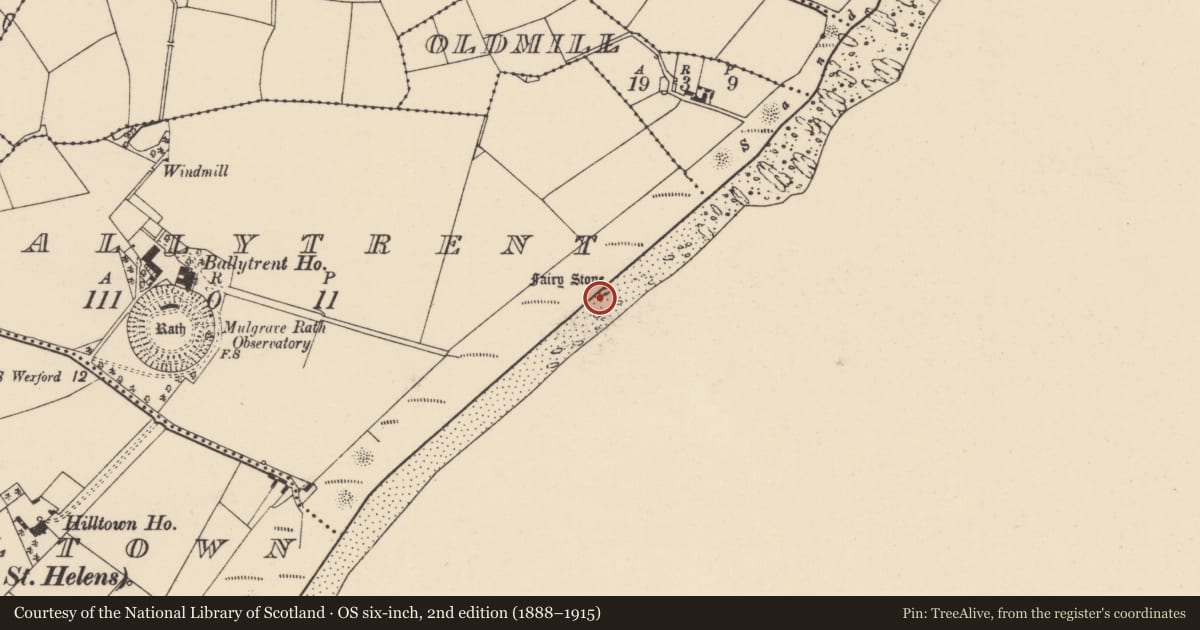 Ordnance Survey six-inch map, 2nd edition (1888–1915) covering the location of Ritual site - holy/saint's stone, Ballytrent, County Wexford, with a pin at the register's coordinates
