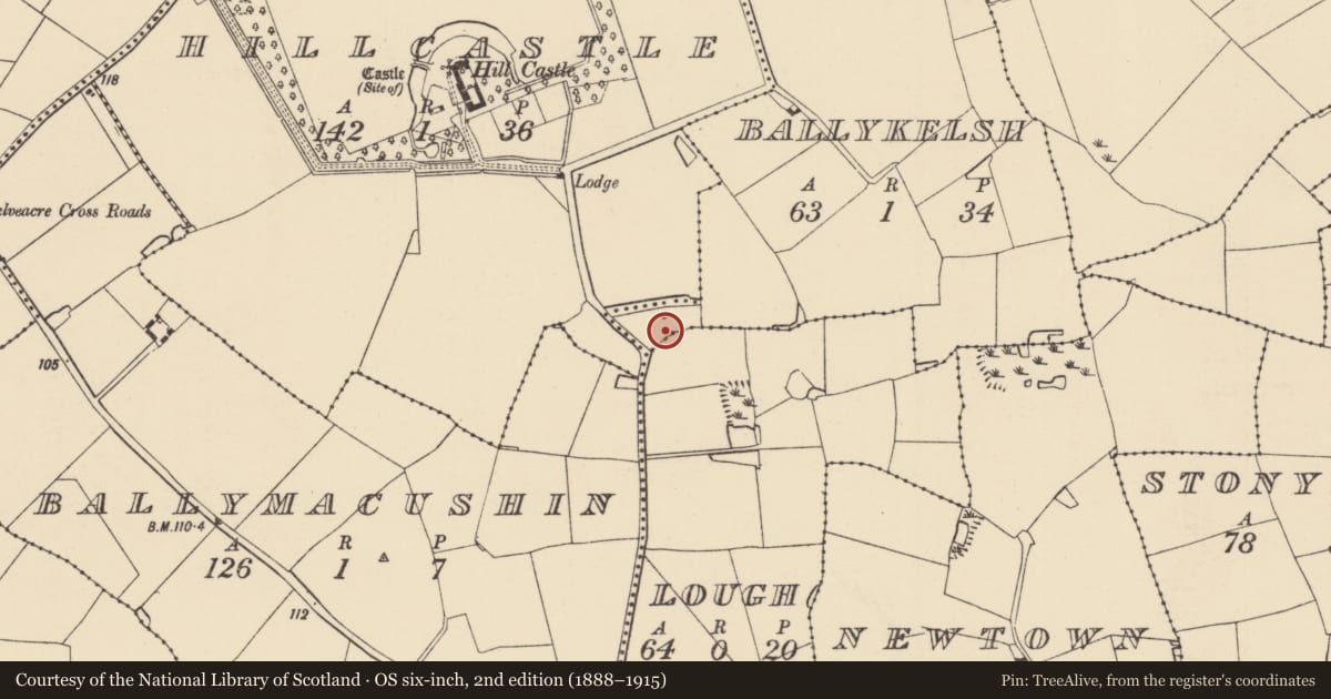 Ordnance Survey six-inch map, 2nd edition (1888–1915) covering the location of Windmill, Ballykelsh, County Wexford, with a pin at the register's coordinates