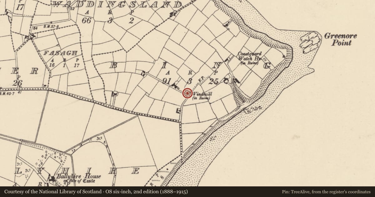 Ordnance Survey six-inch map, 2nd edition (1888–1915) covering the location of Windmill, Bing, County Wexford, with a pin at the register's coordinates