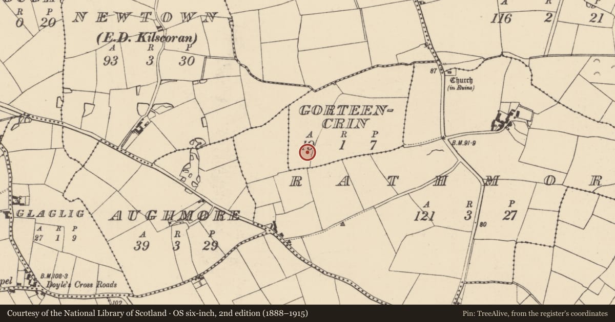 Ordnance Survey six-inch map, 2nd edition (1888–1915) covering the location of Enclosure, Gorteencrin, County Wexford, with a pin at the register's coordinates