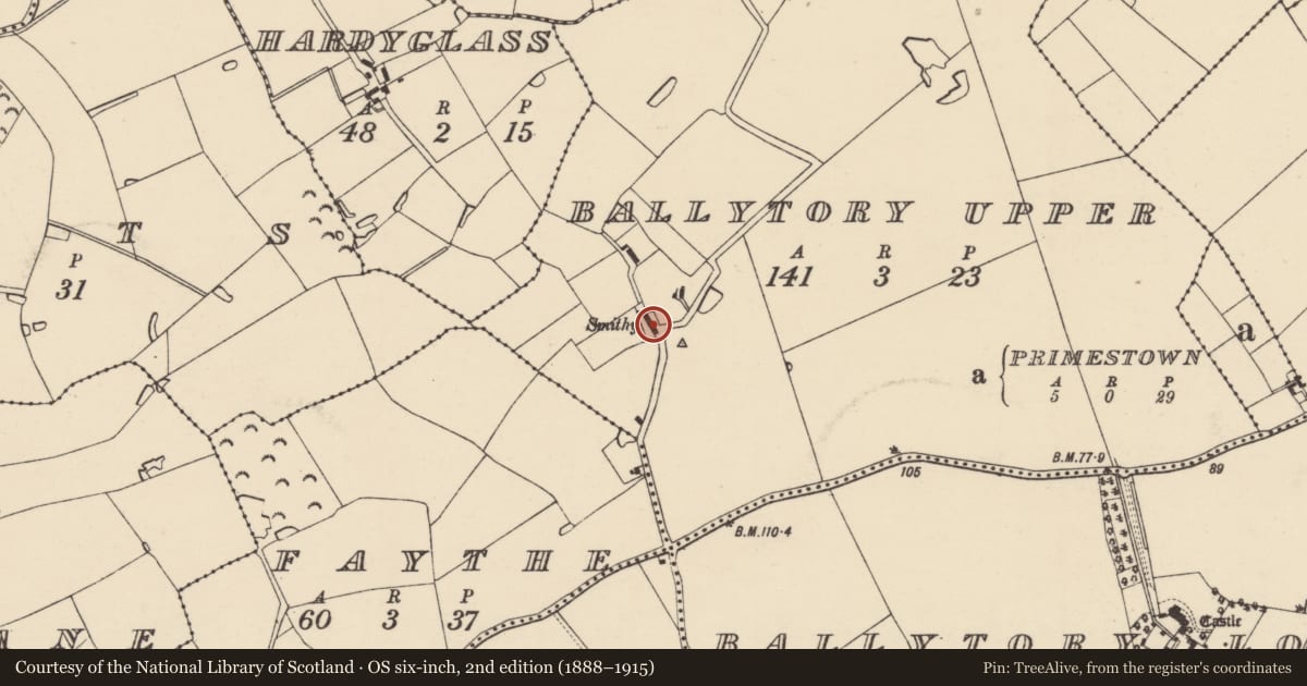 Ordnance Survey six-inch map, 2nd edition (1888–1915) covering the location of Windmill, Ballytory Upper, County Wexford, with a pin at the register's coordinates