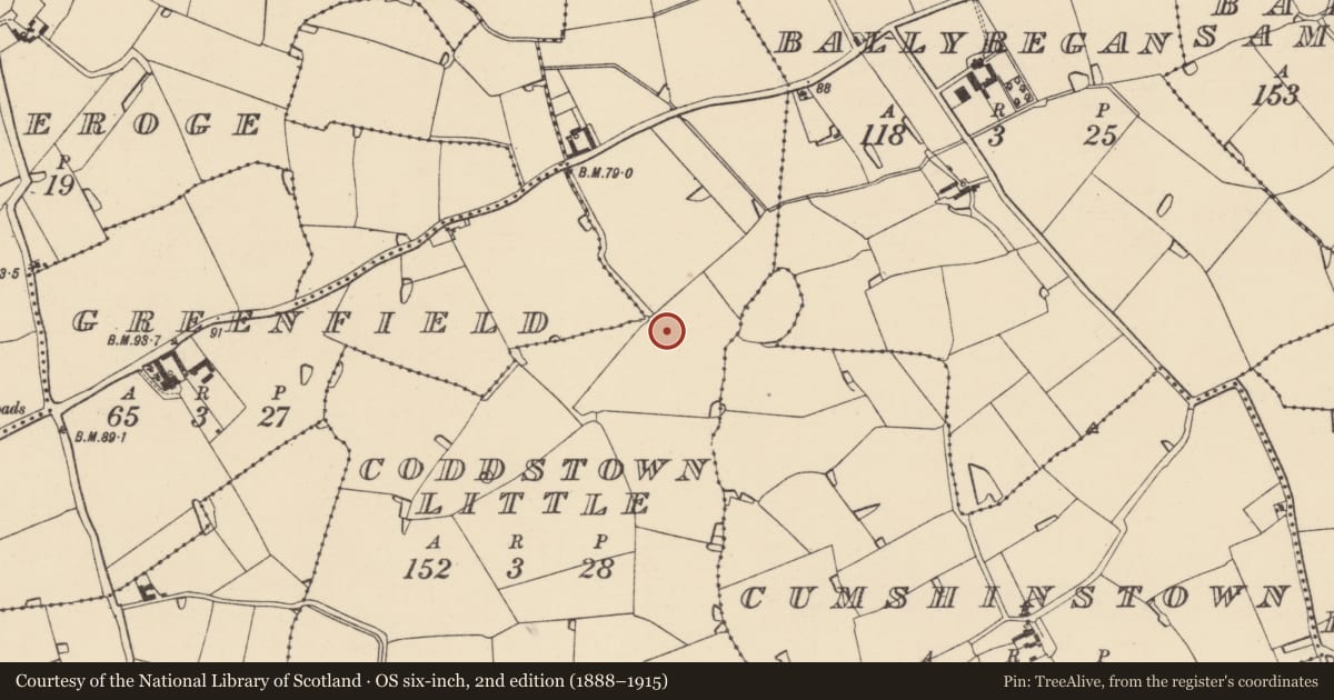 Ordnance Survey six-inch map, 2nd edition (1888–1915) covering the location of Field system, Coddstown Little, County Wexford, with a pin at the register's coordinates