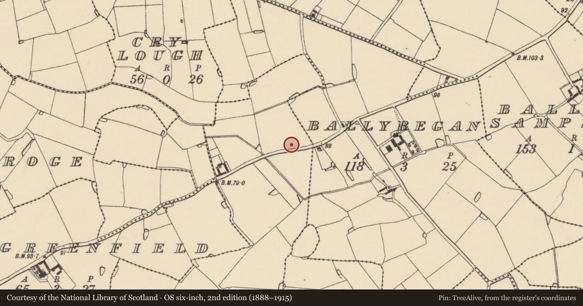 Ordnance Survey six-inch map, 2nd edition (1888–1915) covering the location of Ringfort - rath, Coddstown Little, County Wexford, with a pin at the register's coordinates