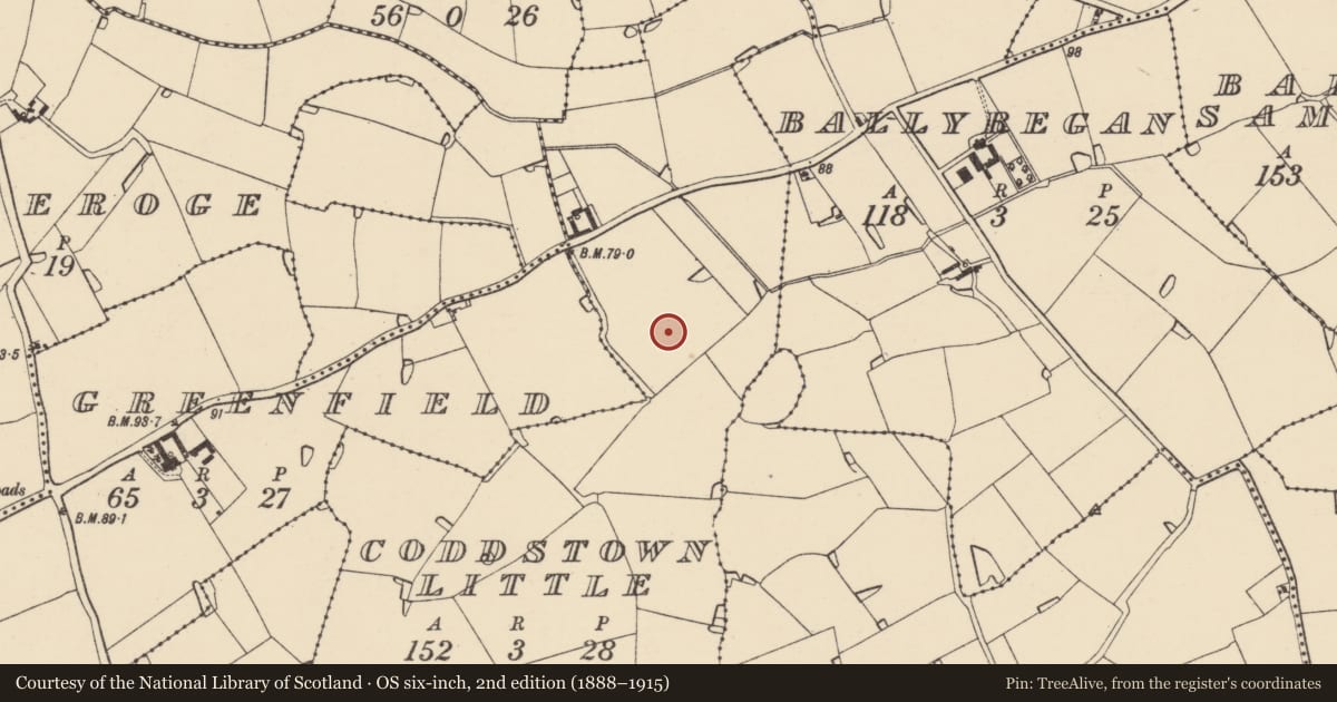 Ordnance Survey six-inch map, 2nd edition (1888–1915) covering the location of Ring-ditch, Coddstown Little, County Wexford, with a pin at the register's coordinates